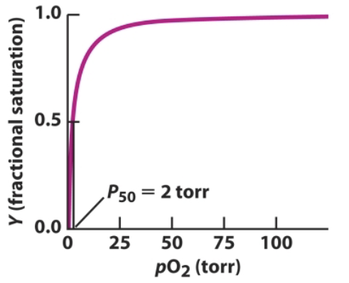 <p>Hyperbolic</p>