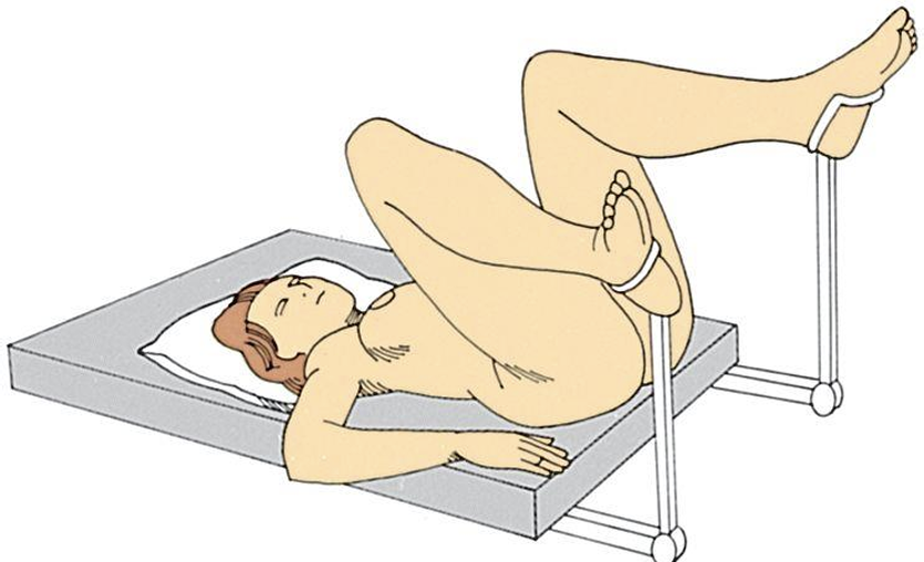 <p>FEMALE RECTUM; VAGINA (FOR BRIEF PERIODS)</p>