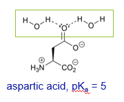 <p>The anion resulting from deprotonation is stabilised greater through solvation with water molecules</p>