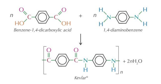 <ul><li><p>Monomer 1: a dicarboxylic acid, benzene-1,4-dicarboxylic acid.</p></li><li><p>Monomer 2: a diamine, 1,4-diaminobenzene.</p></li></ul><p></p>