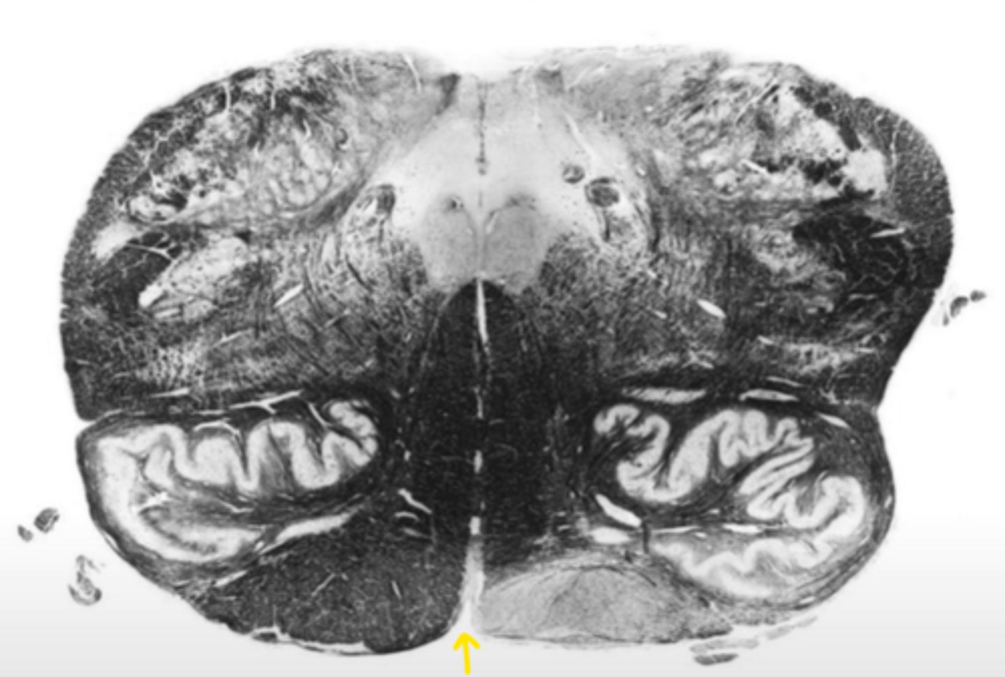 <p>ID the structure</p>