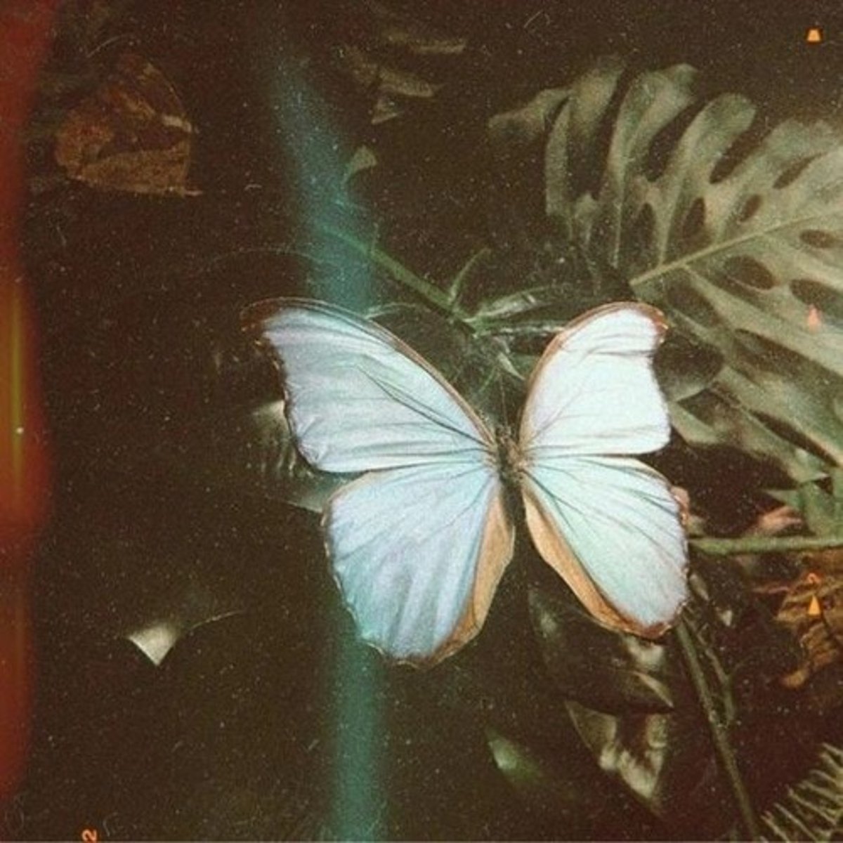 <p>(n) things that are imagined (điều tưởng tượng) - Her ____ were often whimsical.</p>