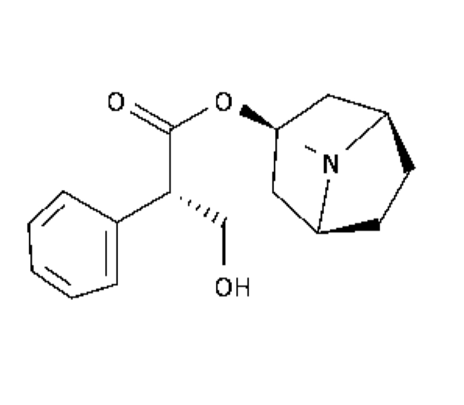 <p>Atropine</p>