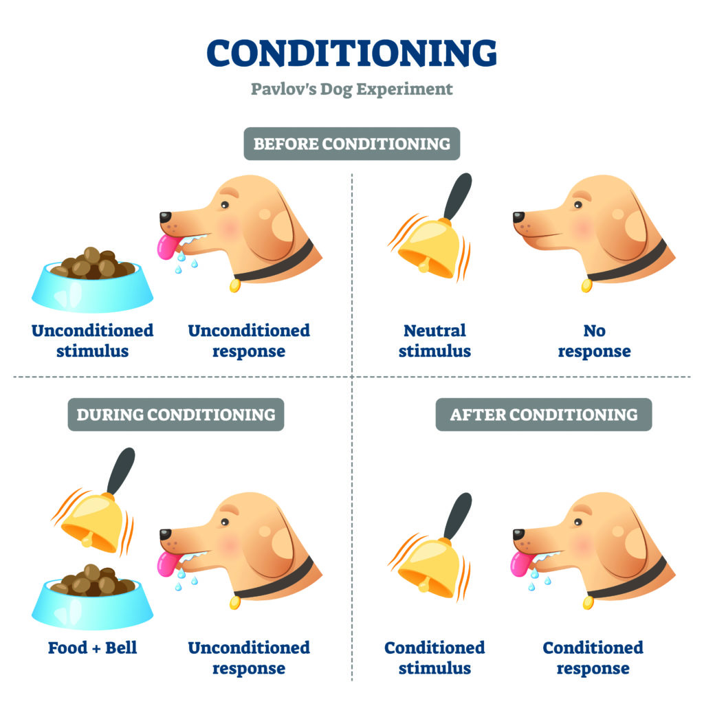<p>procedures used to find out how organisms learn about the signaling properties of events </p>
