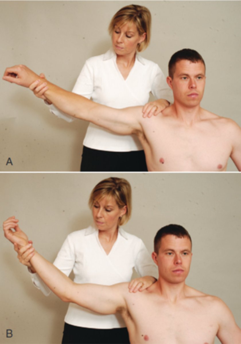 <p>pain worse in pronated is positive test</p>