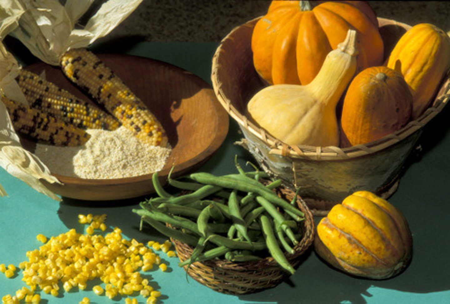 <p>The season when Woodland harvested crops and hunted for foods to preserve and keep for the winter.</p>