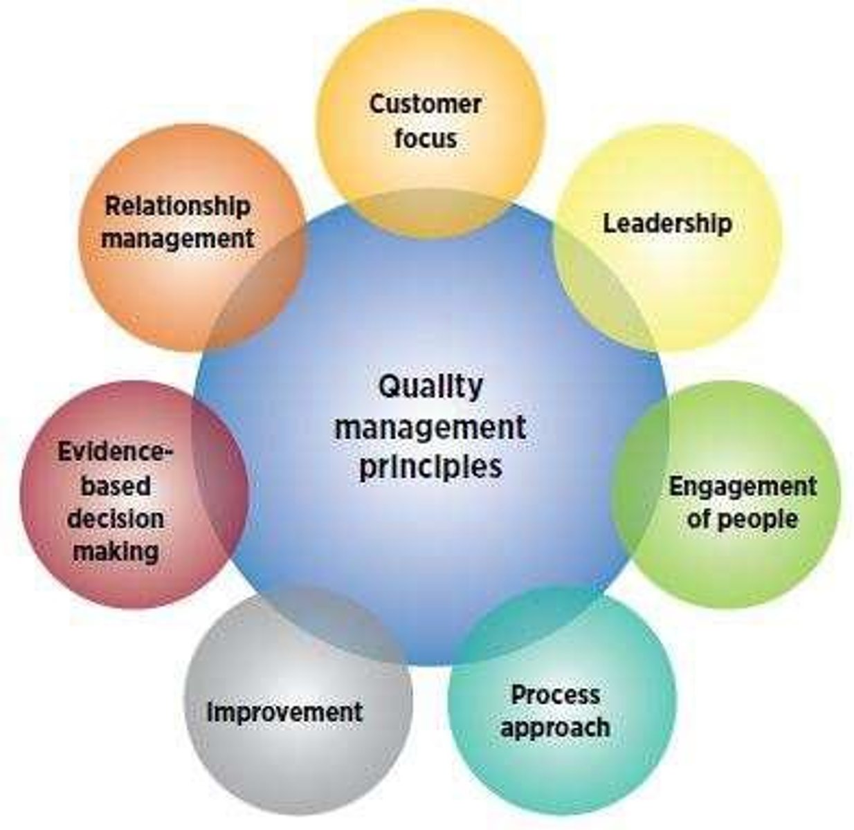 <p>A structured system of procedures and processes for ensuring quality in an organization.</p>