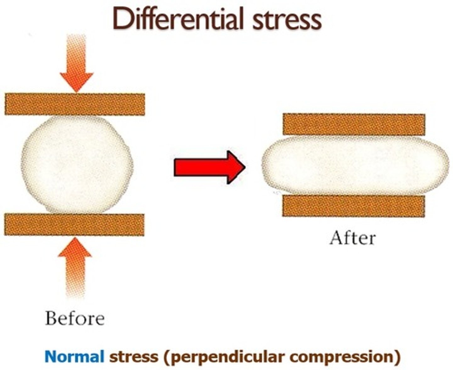 <p>when the stress applied to a rock is applied UNEQUALLY from different sides (i.e., a rock is being squeezed or stretched strongly in one direction). When that happens, we say that the rock is being subjected to differential stress</p>