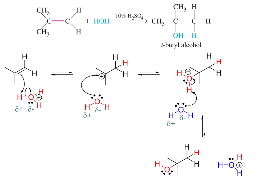 <ul><li><p>Alkene plus water turns into alcohol</p></li><li><p>Forward reaction favoured in dilute h2s04 (10%)</p></li><li><p>Its conjugate base won’t add to cation and Hcl would lead to mixture of hydration and addition products</p></li></ul>