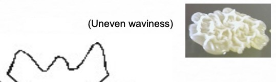 term image