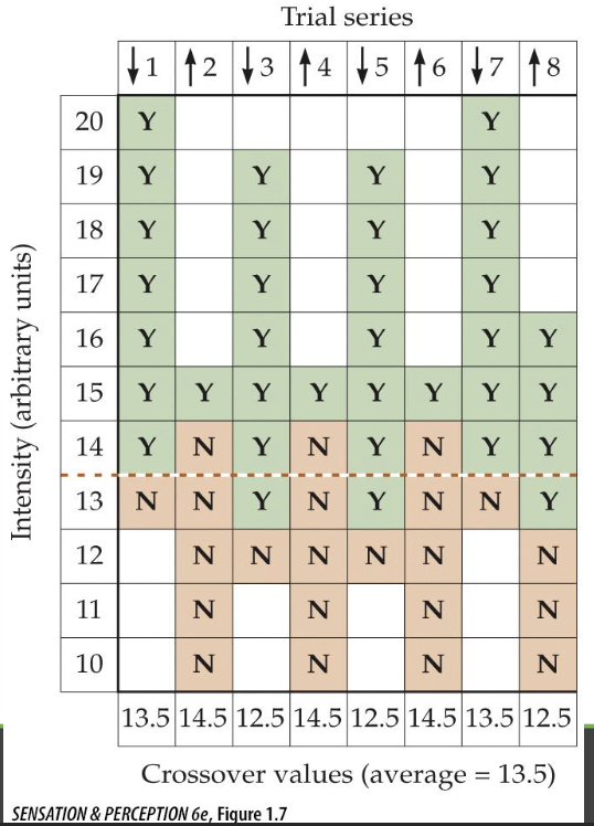 <p>Let participant adjust a stimulus until it matches a target (e.g. color matching)</p><p>Participant adjusts the magnitude change</p>