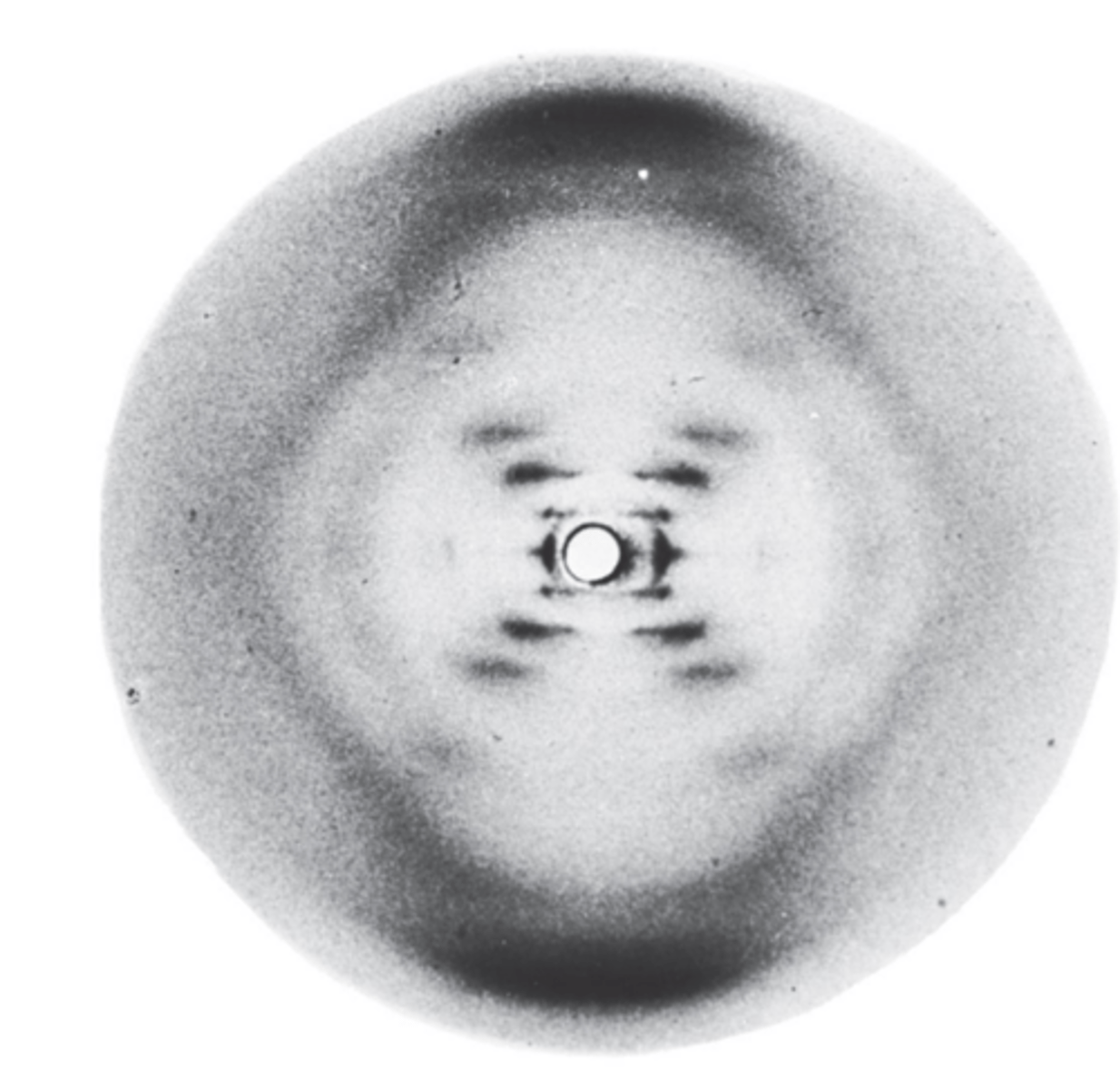 <p>base composition analysis (Chargaff) and X-ray diffraction provided crucial data to Watson and Crick</p><p>- studies by Rosalind Franklin showed DNA had a 3.4 angstrom periodicity, characteristic of helical structure</p>
