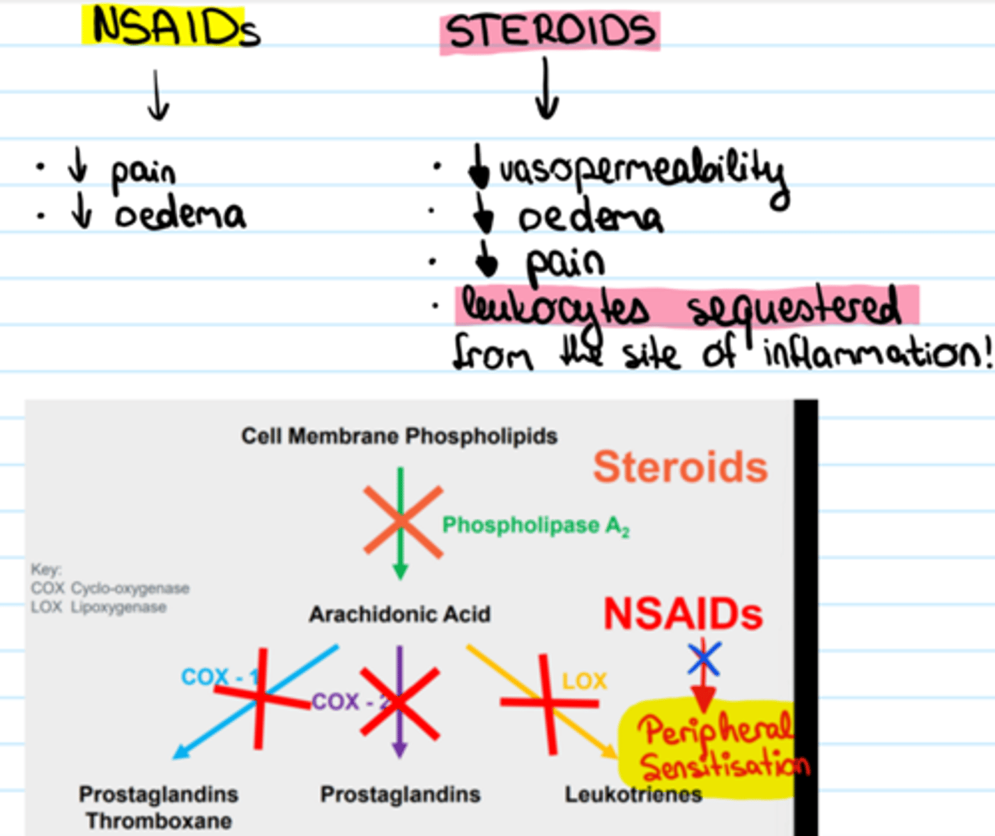 <p>Steroids and NSAIDS (non-steroidal anti-inflammatory drugs)</p>