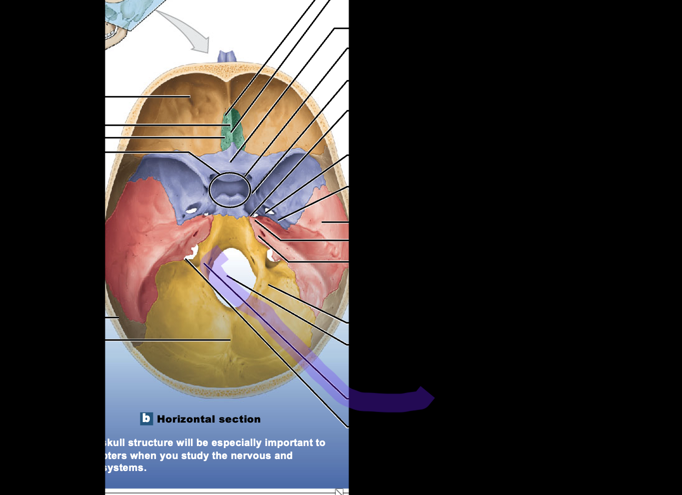 <p>What is the structure?</p>