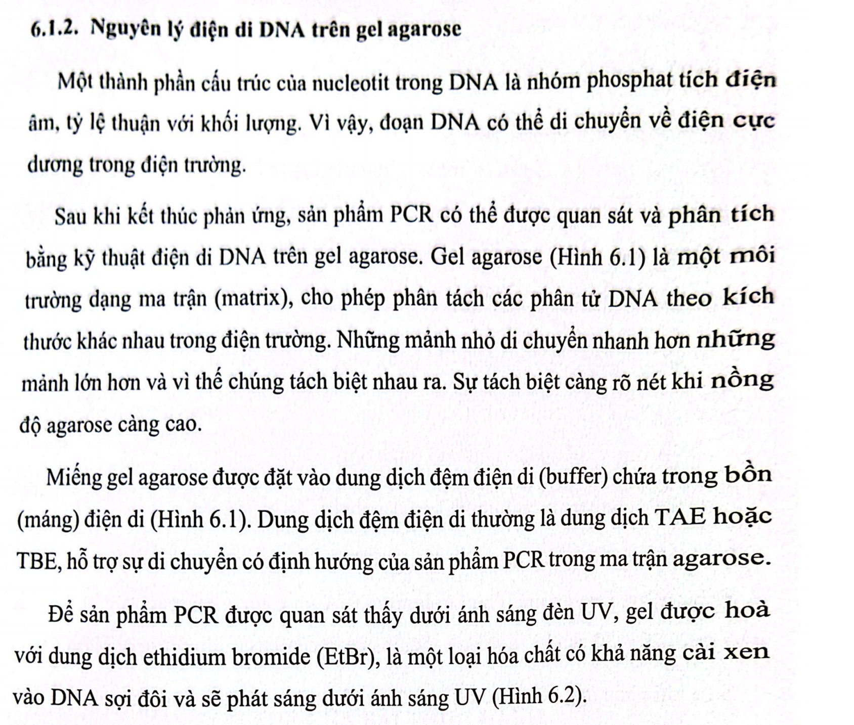 <p>A. (1) âm – (2) dương – (3) âm</p>