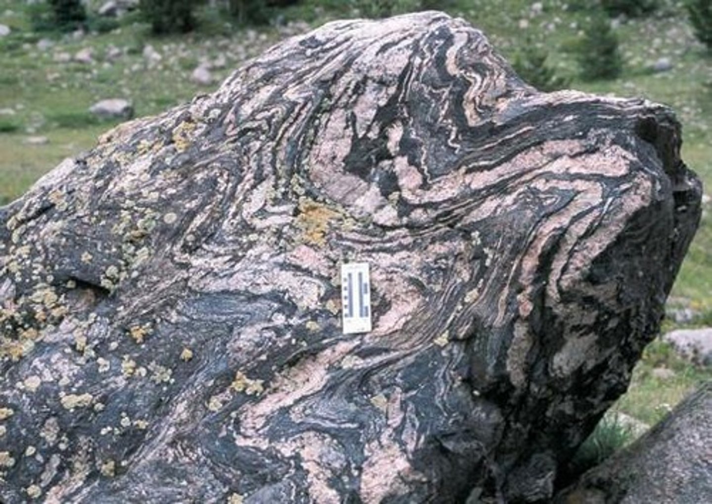 <p>Subjecting preexisting rocks to high heat, high pressure, or hot mineral-rich fluids.</p>