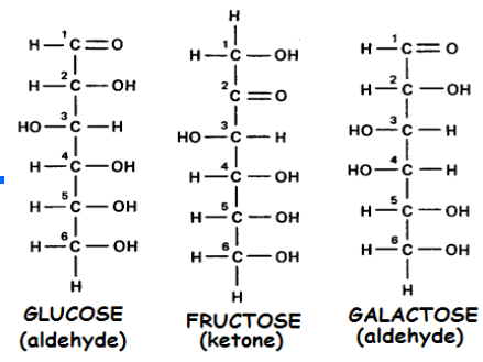 <p> Fructose is an example of a(n)</p>
