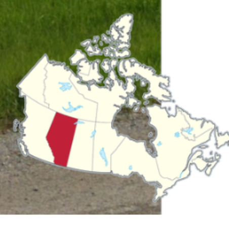 <p><strong>Canada - Alberta bollard</strong></p><p>Alberta has a unique black and white bollard that is often found at intersections. It has a cylindrical shape and two black bands that wrap all the way around. It is one of the most useful Canadian bollards to learn because it appears so frequently.</p>