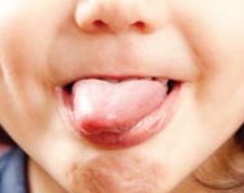 <p>tongue</p>