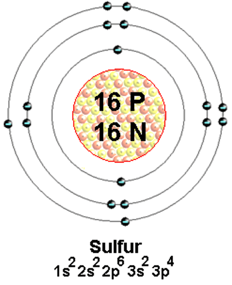 <p>in the nucleus</p>