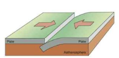 <p>What is this type of plate movement called?</p>