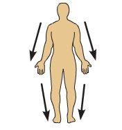 <p>farther from the origin of a body part or the point of attachment of a limb to the body trunk</p>