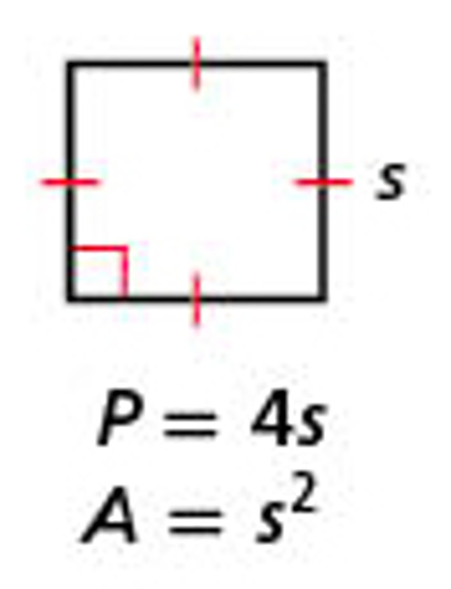 <p>P = 4s</p><p>A = s^2</p>
