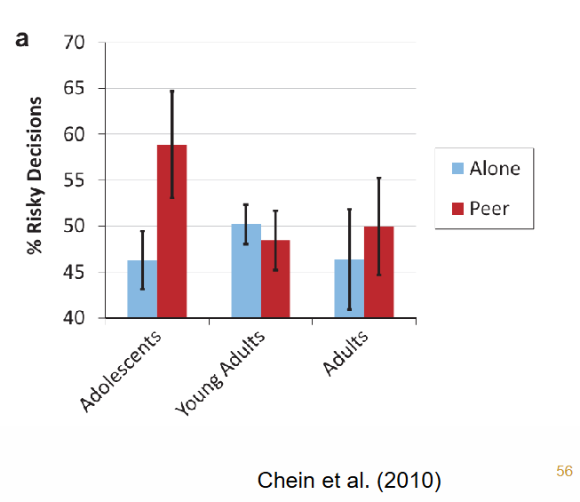 <p>Simulated driving task in the lab</p><p>• Group: adolescents, young adults and older adults</p><p>• Condition: alone vs. with peer\</p><p></p><p>Results:</p><p>Adolescents make riskier decisions in front of their peers</p><p>Not so with adults</p><p>→ Peer influence decreases</p>