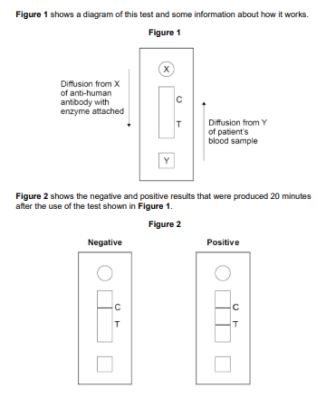 <p>Dengue fever is a human disease caused by the dengue virus. Scientists designed an ELISA test to detect antibodies to the dengue virus in a patient’s blood sample. <strong>Figure 1</strong> shows a diagram of this test and some information about how it works.</p><p><strong>Figure 2</strong> shows the negative and positive results that were produced 20 minutes after the use of the test shown in<strong> Figure 1</strong>. </p><p>Suggest what is on the test at line T and explain what causes the line to appear in a positive test. (2) </p>