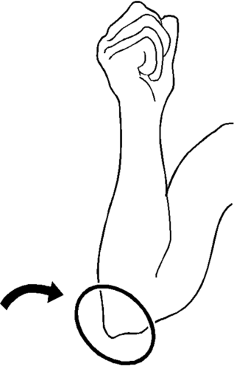 <p>the elbow</p>