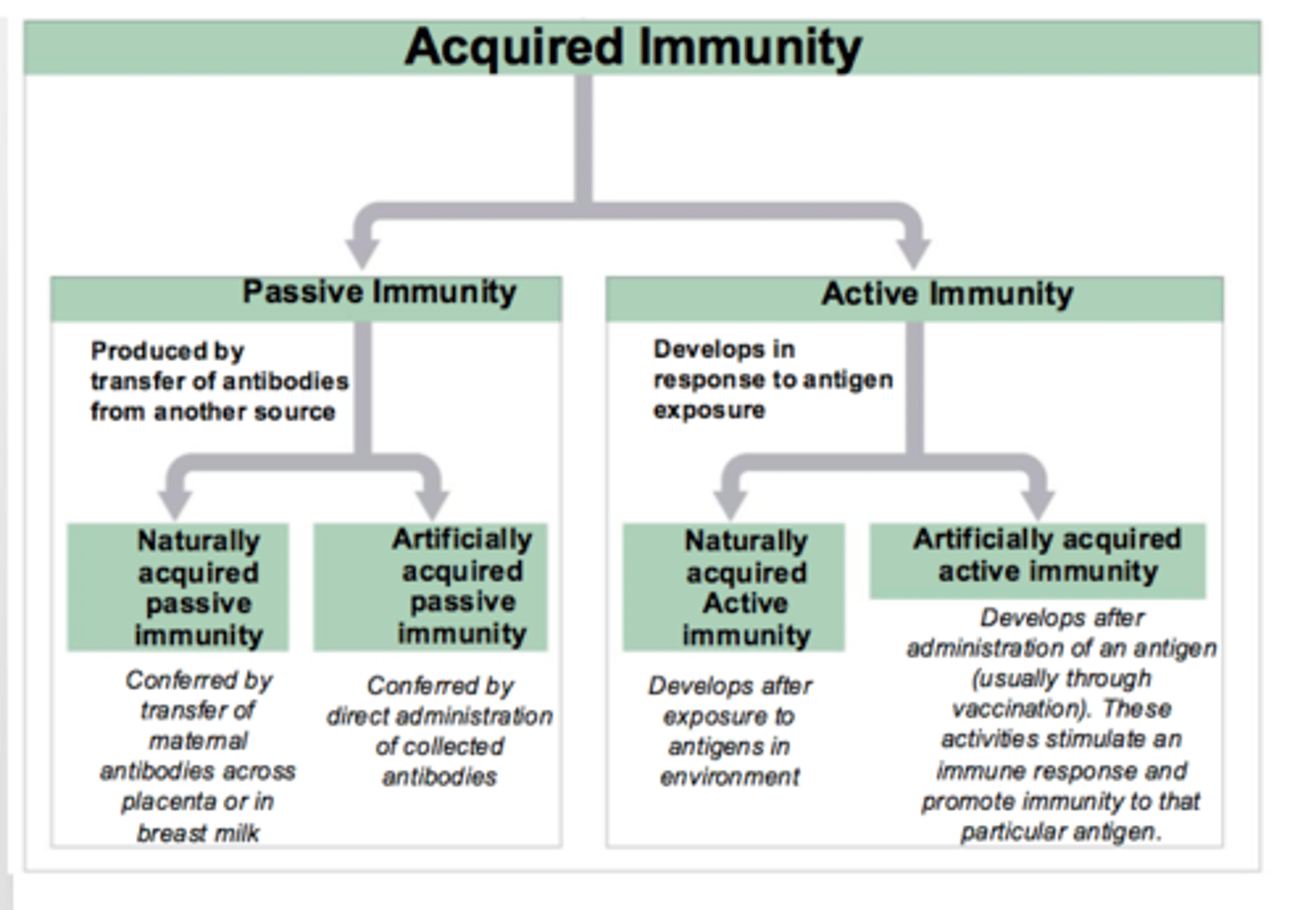 <p>Antibodies are forced to be made by the body by intentionally stimulating it eg vaccine</p>