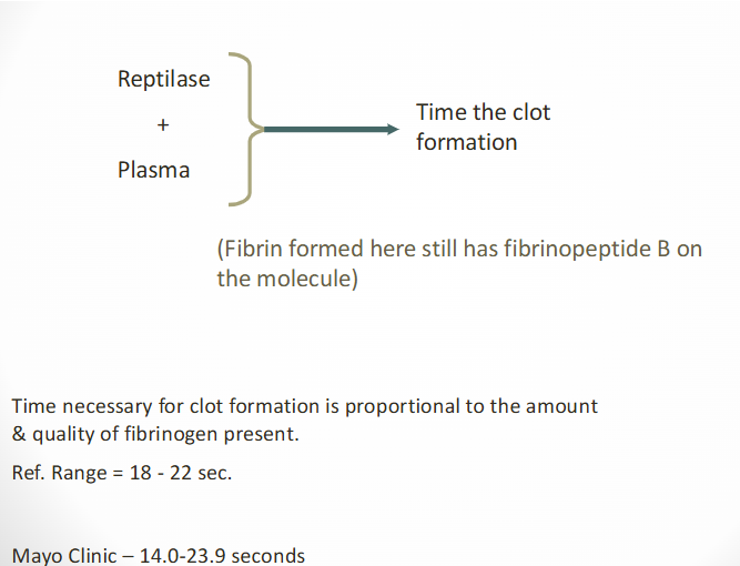 <ul><li><p><span>Reptilase is a serine protease</span></p><ul><li><p><span>Found in venom of <u>Bothrops atrox snake</u></span></p></li><li><p><span><strong><u>Cleaves fibrinopeptide A from fibrinogen</u></strong></span></p><ul><li><p><span>Thrombin cleaves both fibrinopeptide A and B</span></p></li></ul></li></ul></li><li><p><span>Addition of reptilase to PPP</span></p><ul><li><p><span>Initiates clot formation</span></p></li><li><p><span>Detected by optical or electromechanical methods</span></p></li><li><p><span>Manual, semi-automated, automated methods</span></p></li></ul></li><li><p><span>General reference interval</span></p><ul><li><p><span>18-22 seconds</span></p></li></ul></li></ul><p></p>