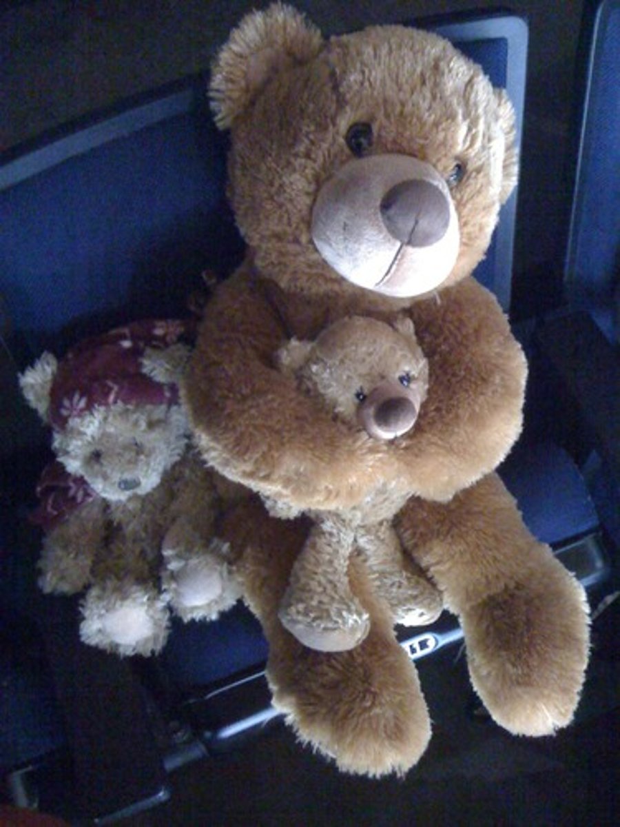 <p>teddy bear</p>