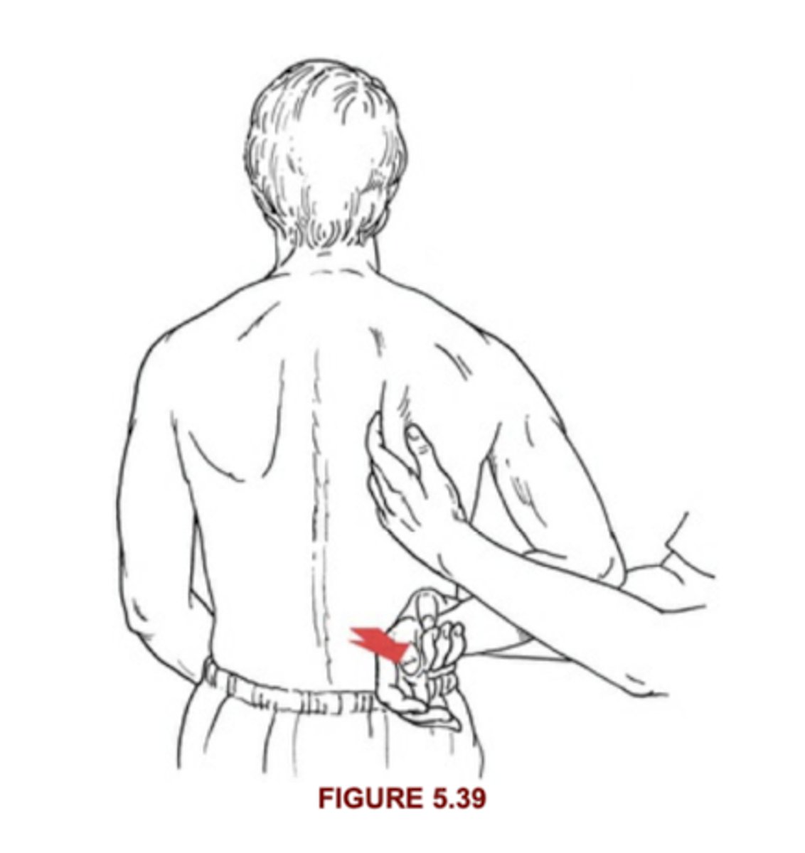 <p>Seated, shoulder IR, EXT, and ADD behind back; arm supported at wrist; Completes FULL ROM</p>