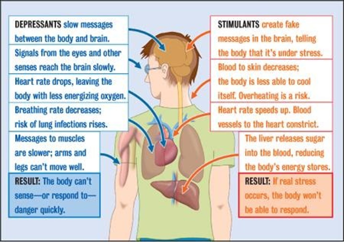 <p>(B) Stimulants</p><p>Stimulants are the class of psychoactive drugs known for exciting the Central Nervous System, increasing one's Heart Rate, Blood Pressure, awareness, and energy.</p>