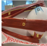 <p>Identify the structure labeled E. </p>
