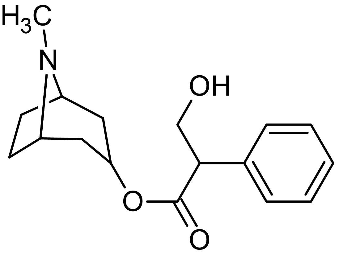 <p>Used as a preoperative drug to relax muscles and reduce saliva secretions (can also be used by eye doctors to dilate pupils).</p>