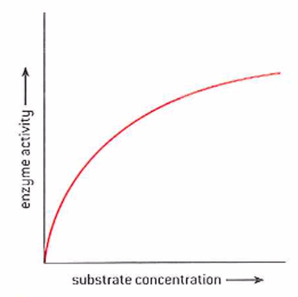 <p>Substrate: Increased number of substrate particles leads to a higher collision rate with the active sites, rate of reaction increases due to more enzyme-substrate complexes</p><p>Enzyme: Increased enzyme concentration increases the number of active sites in a particular area, number of enzyme-substrate complexes increase. Rate of reaction increases</p>