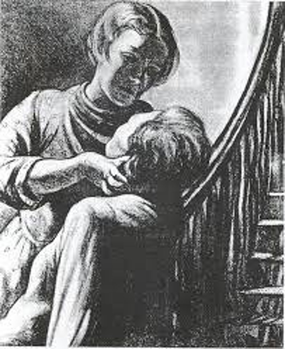 <p>projective test that uses 20 pictures of people in ambiguous situations as the visual stimuli</p>