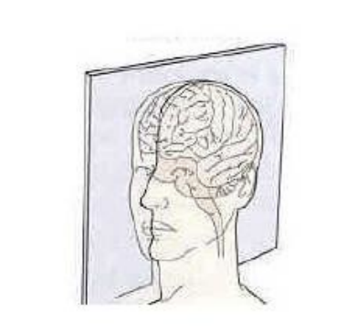 what type of slice is this