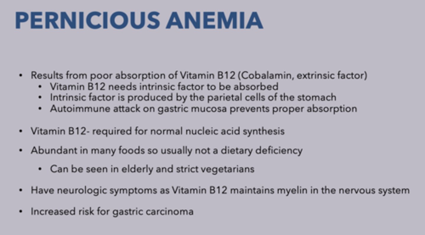<p>Pernicious anemia</p>