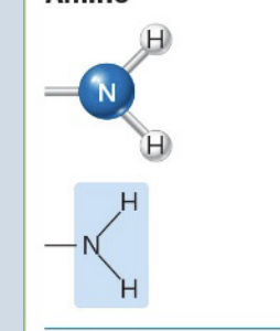 <p>Amino</p>