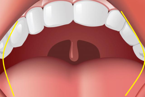 Oral Cavity is Also known as the