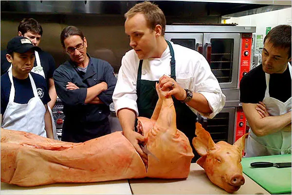 <p>The pigs are being flattened up for slaughter</p>