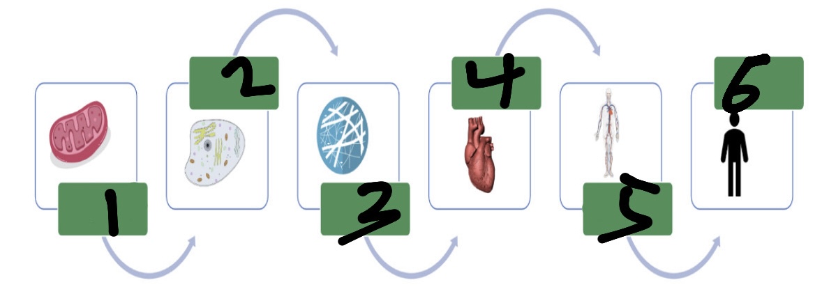 <p>What’s 5?</p>