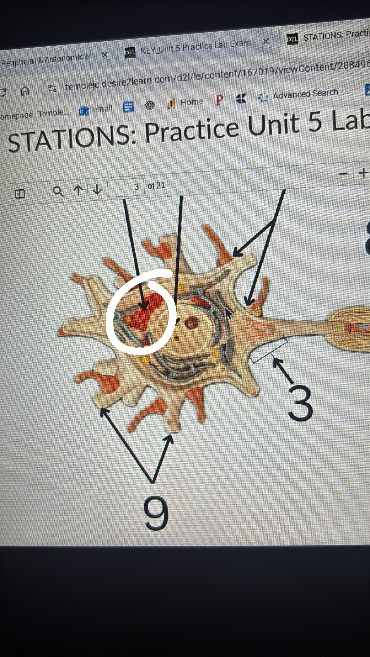 <p>modify and store protein and lipids</p>