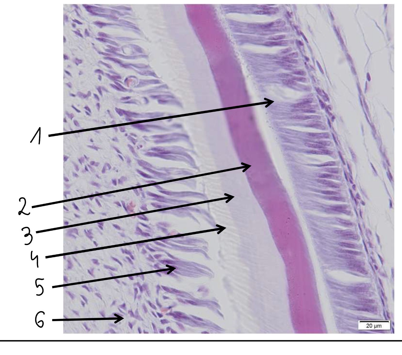 <p>2</p>