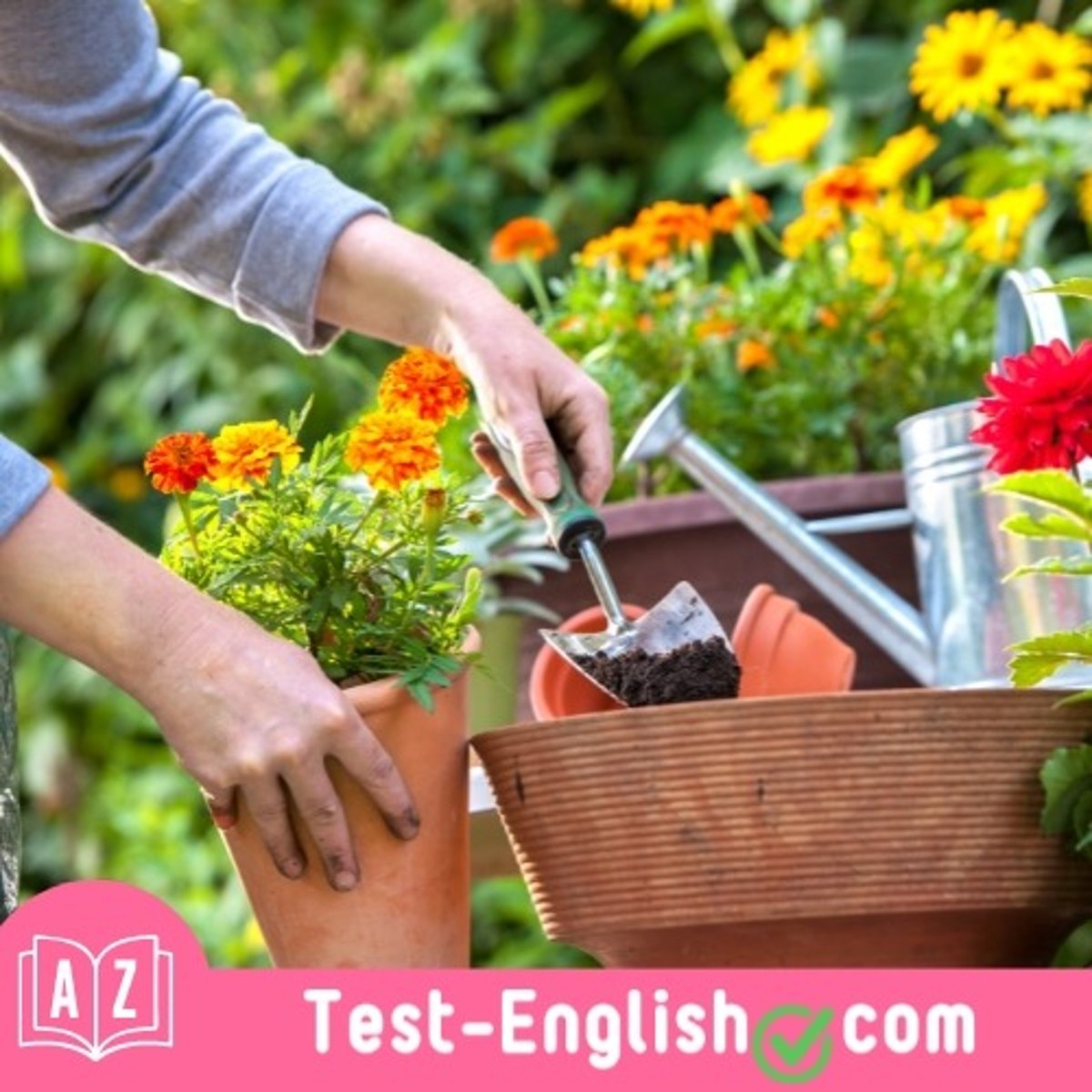 <p>Luke is fond of _____ and grows all his own vegetables.</p>