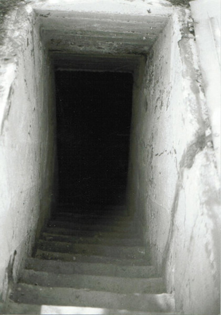 <p>cellar</p>