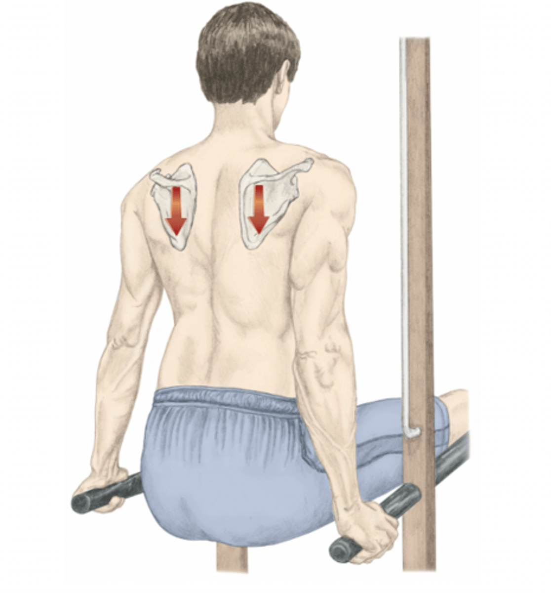 <p>please identify the movement and its location</p>